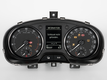 Rapid (NH)  Display fault instrument cluster